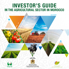 guide de l'investisseur-EN_0.png